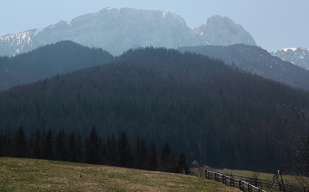 Willa Pod Halami Apartamento Zakopane Exterior foto